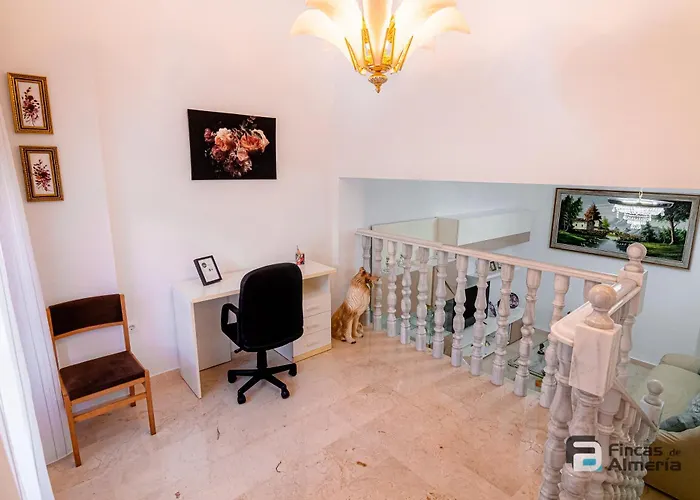 Pedro Jover 9 R&r דירה *